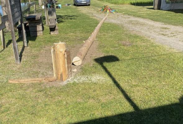 Prvomajska tradicija v Turnišču tarča vandala, mlaj porezan čez noč