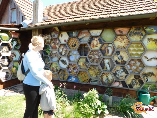 FOTO: Čebelarstvo Tigeli je na široko odprlo svoja vrata 