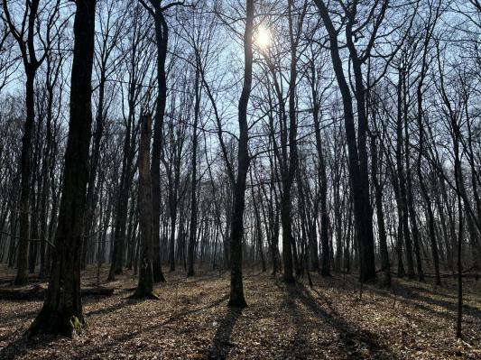Slovenijo zajel vročinski val, temperature bodo segle do 38 stopinj Celzija
