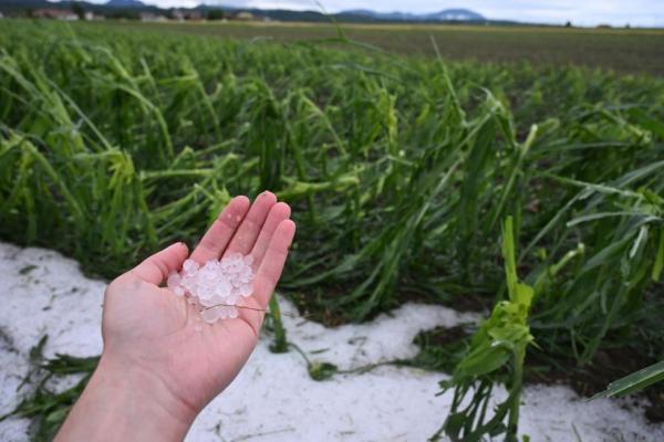 Neurje udarilo tudi po Pomurju: to je rok za prijavo škode