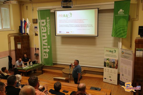 FOTO: Suša udarila po pomurskih poljih: pšenice bo manj, pridelava vse dražja
