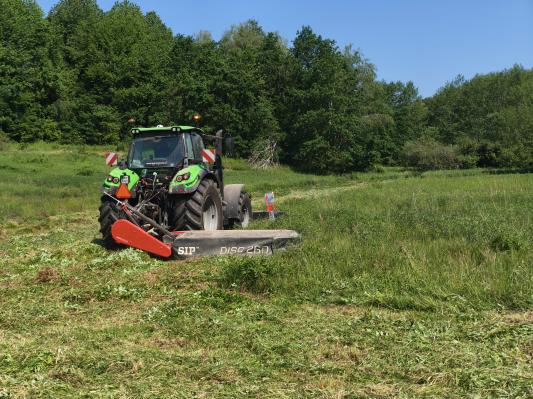 FOTO: Kar je leta propadalo, bodo zdaj poskušali vrniti v življenje
