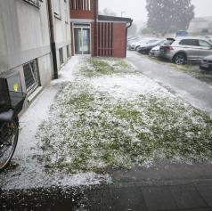 FOTO: V Pomurju toča pobelila cesto
