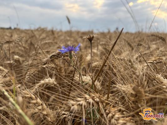 Konec neviht? Vreme se umirja, a vremenoslovci opozarjajo, da še ni povsem mimo