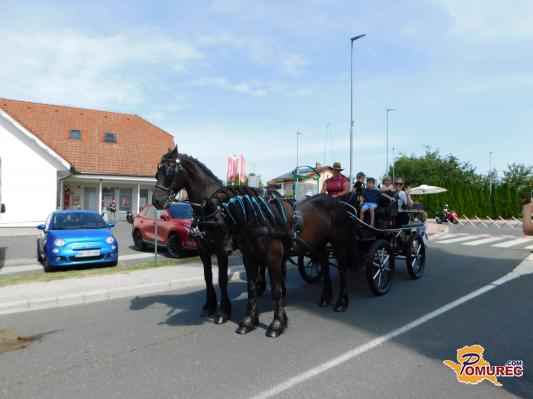 FOTO: Konjska vprega je znova navdušila obiskovalce