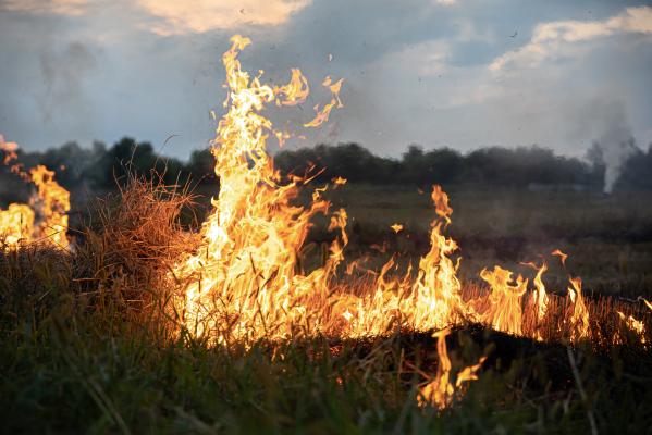 Pozor, od jutri po vsej Sloveniji velja stroga prepoved: Tega ne smete početi