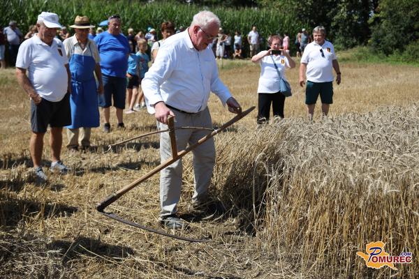 FOTO: Praznik žetve na Kobilju obudil spomine na nekdanja kmečka opravila: na njivi so znova zapele kose in srpi
