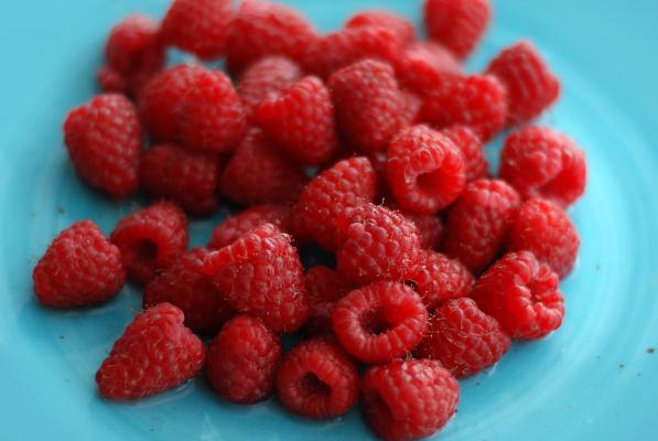 Maline - sladek poletni sadež, poln vitaminov in koristnih hranil