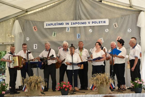 FOTO: Pesem, ples in dobra družba zaznamovali poletno popoldne v Gradišču