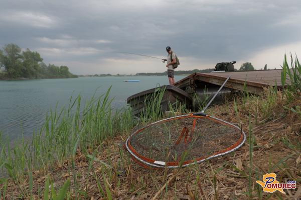 FOTO in VIDEO: Več kot 800 članov, 23 voda in somi nad dva metra. To je zgodba soboških ribičev