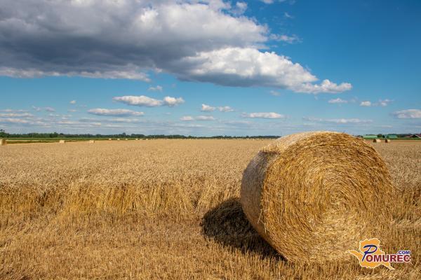 Danes bo vroče, a povsem brez ploh ne bo šlo