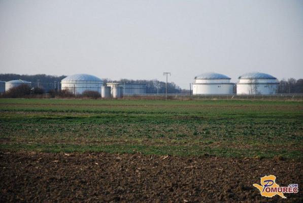 Zaradi Petišovcev Sloveniji grozila skoraj 600-milijonska odškodnina, zdaj je znana odločitev