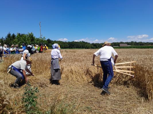 Bližajoče se Marijino vnebovzetje v Prlekiji že desetletja spremlja ta tradicionalni dogodek