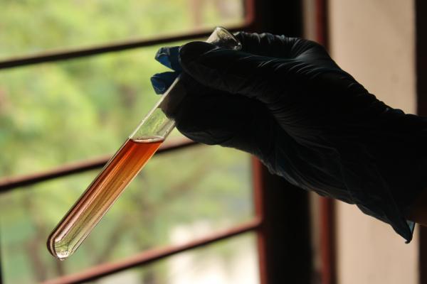 Nov virus se pojavlja vse bližje Sloveniji, pristojni že ukrepajo