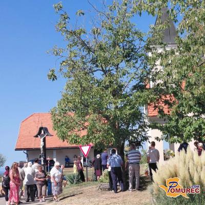 FOTO: Med vinogradi in starimi vinskimi kletmi znova zaživela dolgoletna tradicija