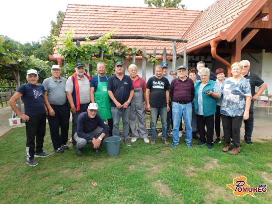 FOTO: Veselo in bučno na trgatvi, natrgali kar 1400 kilogramov grozdja
