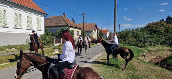 FOTO: Ob slovenski meji znova oživela tradicija trgatvene povorke s konji
