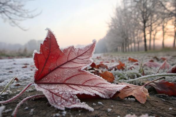 Pred nami več dni sonca, a jesenska jutra bodo pokazala zobe