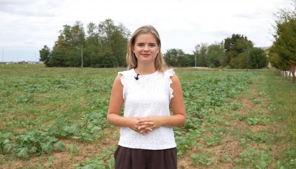 VIDEO: Kmetija lahko s to podporo prejme več tisoč evrov letno
