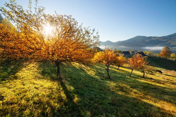 Izkoristite sonce, že v četrtek prihaja preobrat