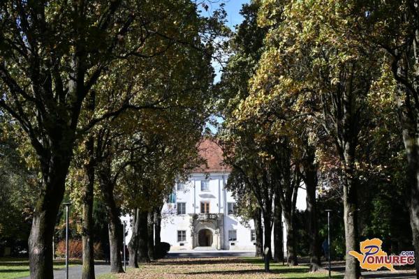 V Murski Soboti zapirajo del mestnega parka, to je razlog