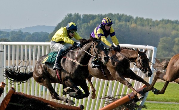 Židan o aferi konjsko meso