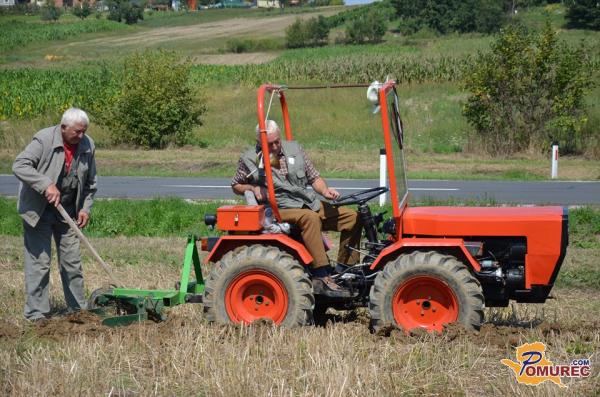 FOTO: Tekmovanje v oranju s starodobniki