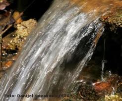 Ob Svetovnem dnevu voda ne pozabimo: »Voda je vir življenja«