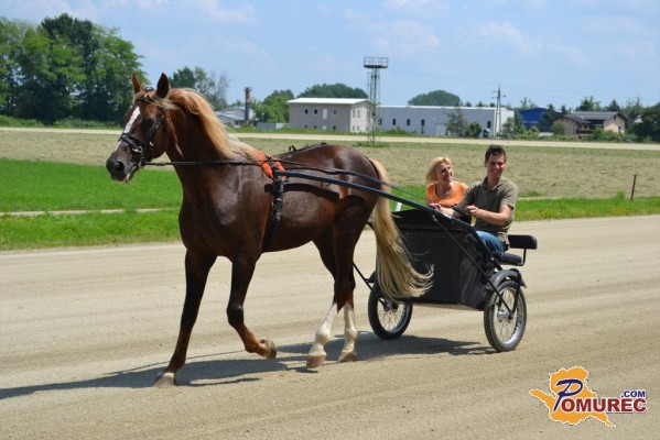 FOTO: Evropske pilotke so se preizkusile na kasaški stezi v Ljutomeru
