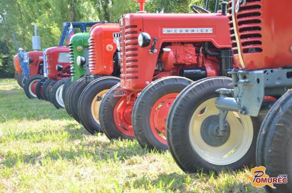 FOTO: Srečanje starodobnikov iz štirih dežel v Serdici