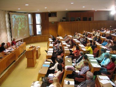 Saga o malem delu se nadaljuje - sprejet je veto