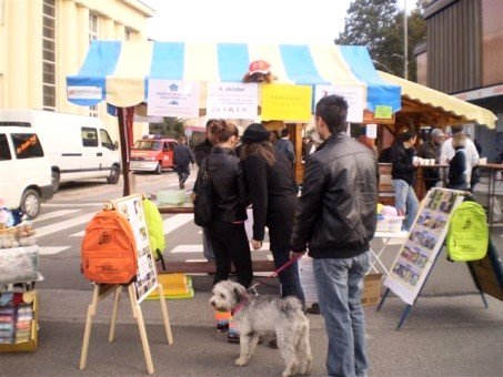 Ljubitelji živali, vabljeni na stojnice