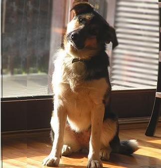 Beseda tistih, ki je nimajo