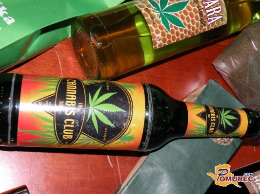 Z industrijsko konopljo do novih delovnih mest