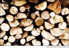 V Murski Soboti ukradli les in gorivo