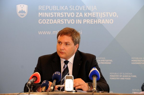 Zaradi pomora čebel začasno prepovedana uporaba spornih semen koruze