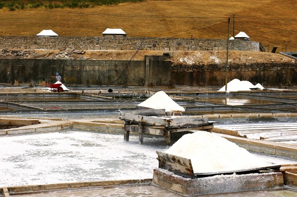 Sol - zdravilo, ki smo ga pozabili