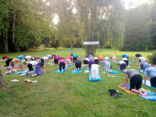 Joga na mehko travnati preprogi murskosoboškega parka