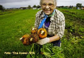 15. oktober - mednarodni dan kmečkih žensk