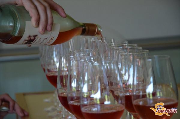 FOTO: Tradicionalni vinogradniško vinarski posvet v Mačkovcih