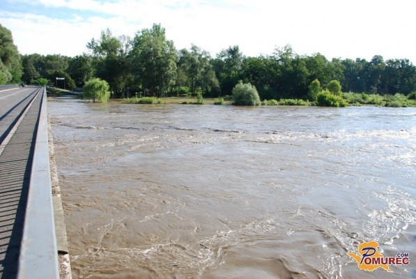 Narasla Mura terjala življenje