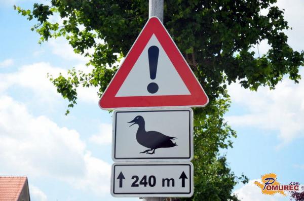 Race v Murski Soboti - mestna znamenitost ali nadloga?