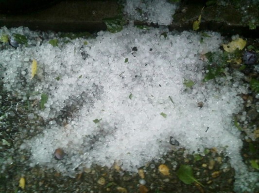 VIDEO: Ponekod v Pomurju znova dobili točo