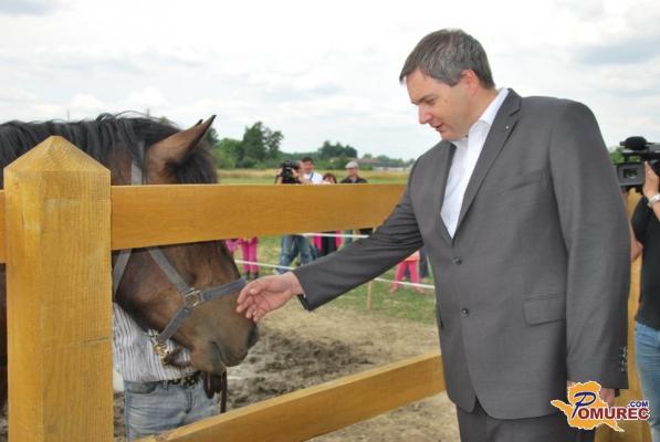 FOTO: Židan in Horvat preverila, kako hitra je nova konjska vprega v Kamencih
