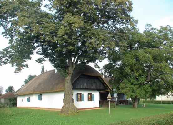 Kovačeva domačija v Nedelici vse bolj priljubljena za fotografiranje poročnih parov 