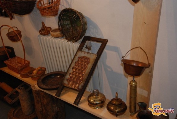 Romi bi imeli obrtniške cone: od lesne biomase do ekološke hrane