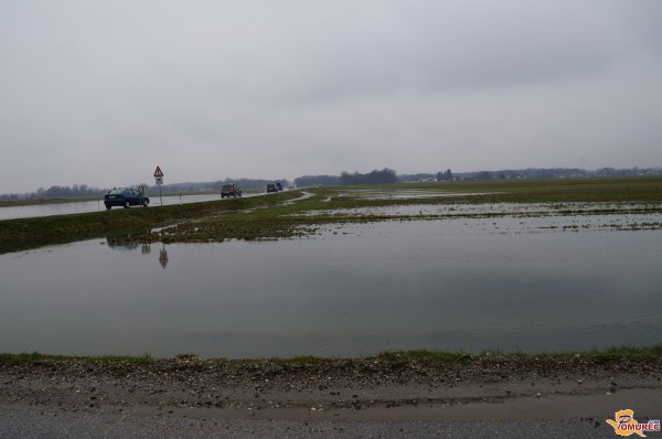 FOTO: Tudi v vasi Rankovci voda prihaja na površje