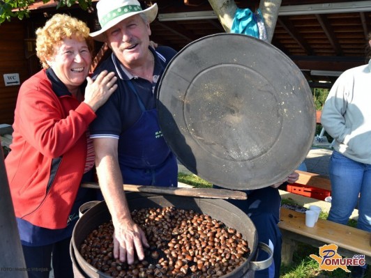 FOTO: Vroč kostanj in sladek mošt na Kapeli