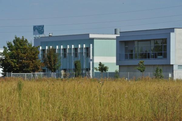 V Galexu še vedno iščejo strateškega partnerja, perindopril v proizvodnjo Madžarom