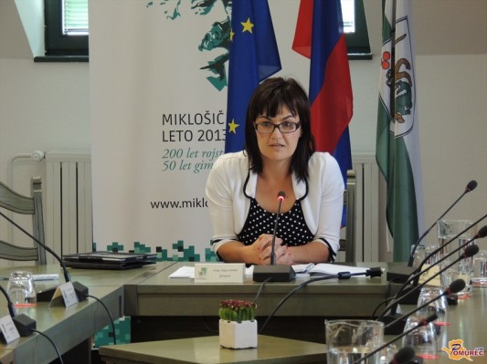 Zaradi bojkota svetnikov odpovedana ljutomerska seja